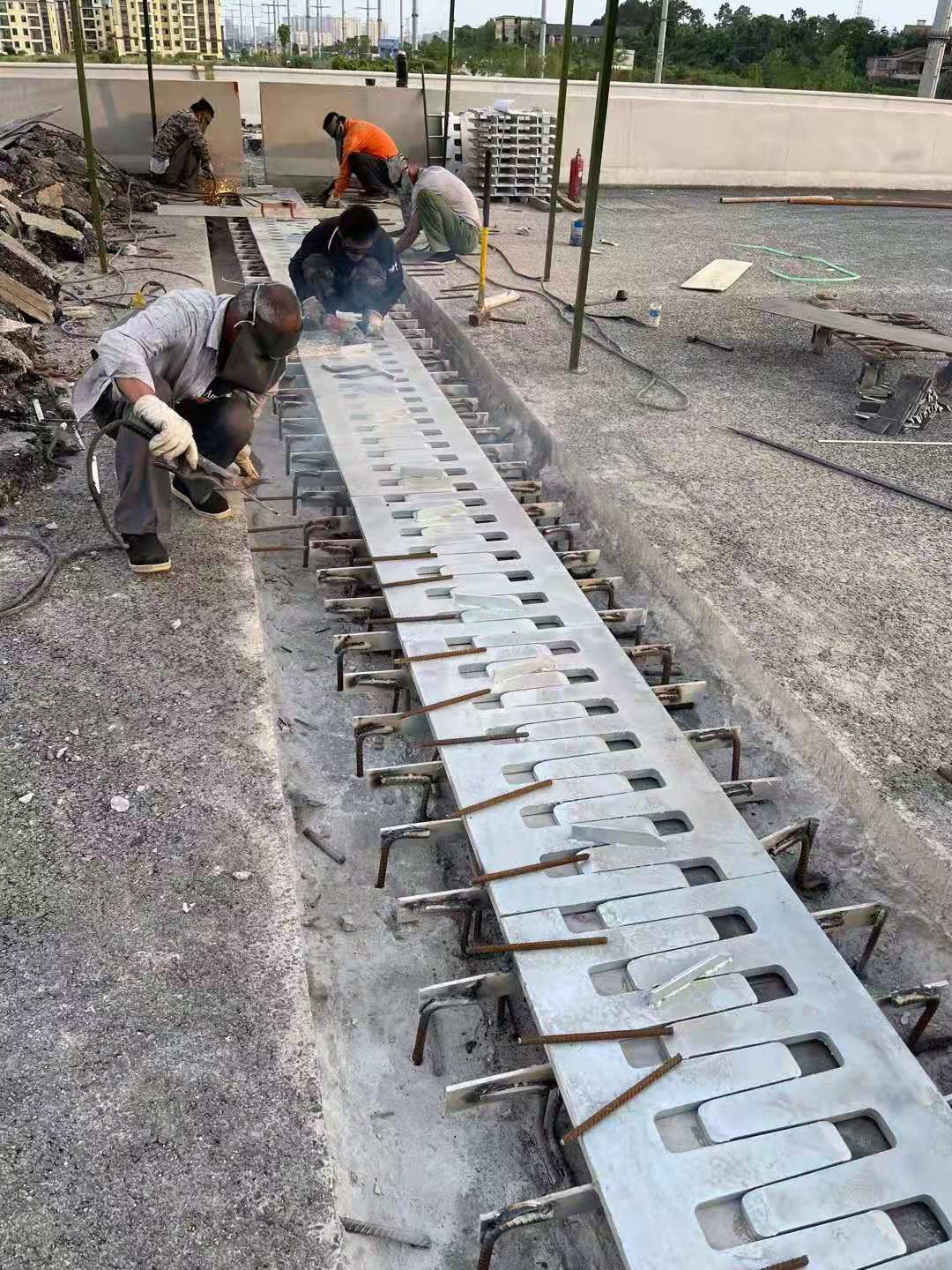 1641278204605462.jpg 4407fc2727087e3528ba593e9de4b2c.jpg